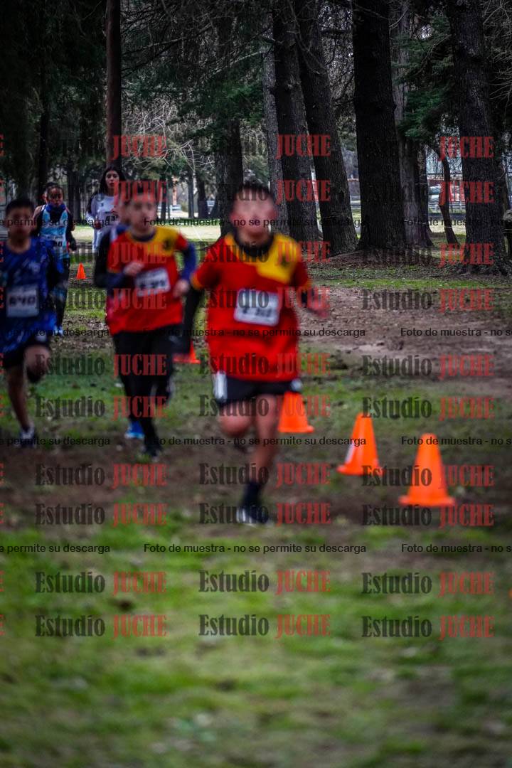Fotos en el circuito