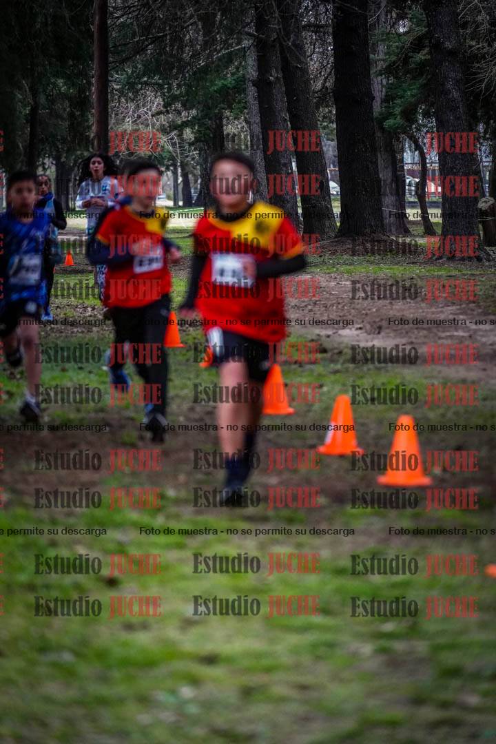 Fotos en el circuito