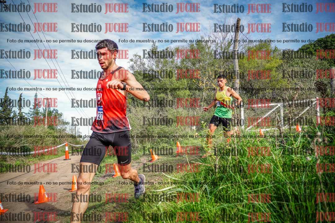 Fotos en el circuito