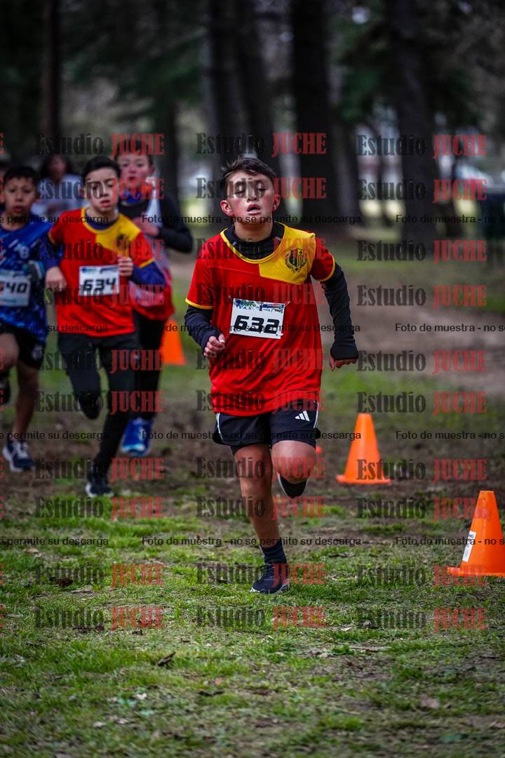 Fotos en el circuito
