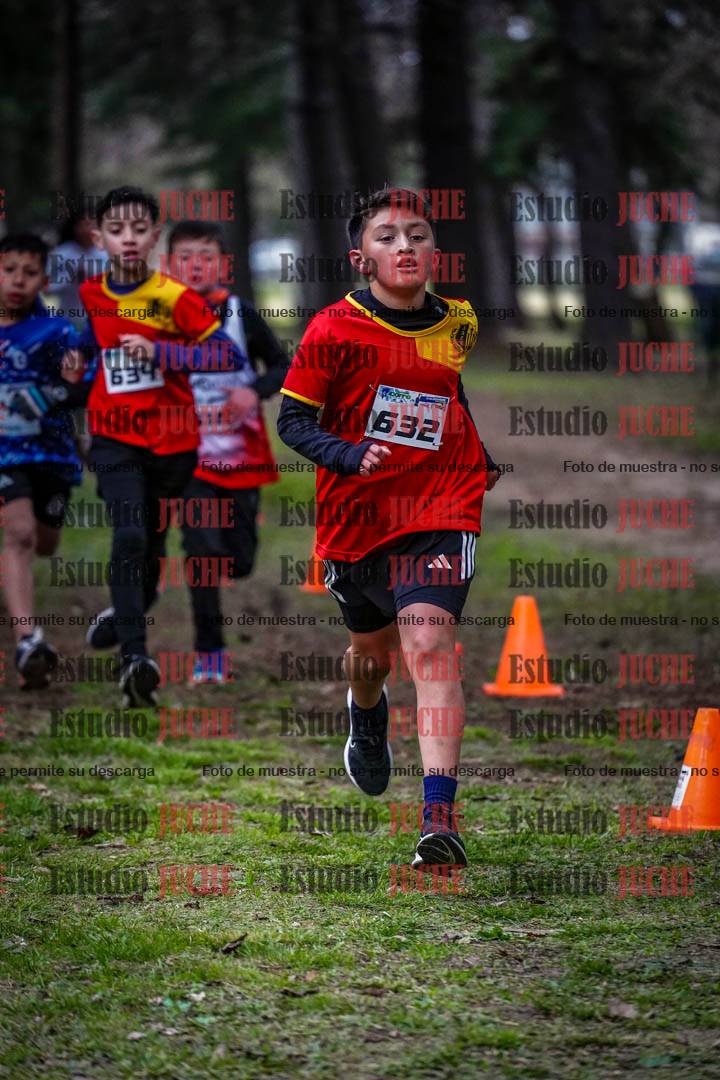 Fotos en el circuito