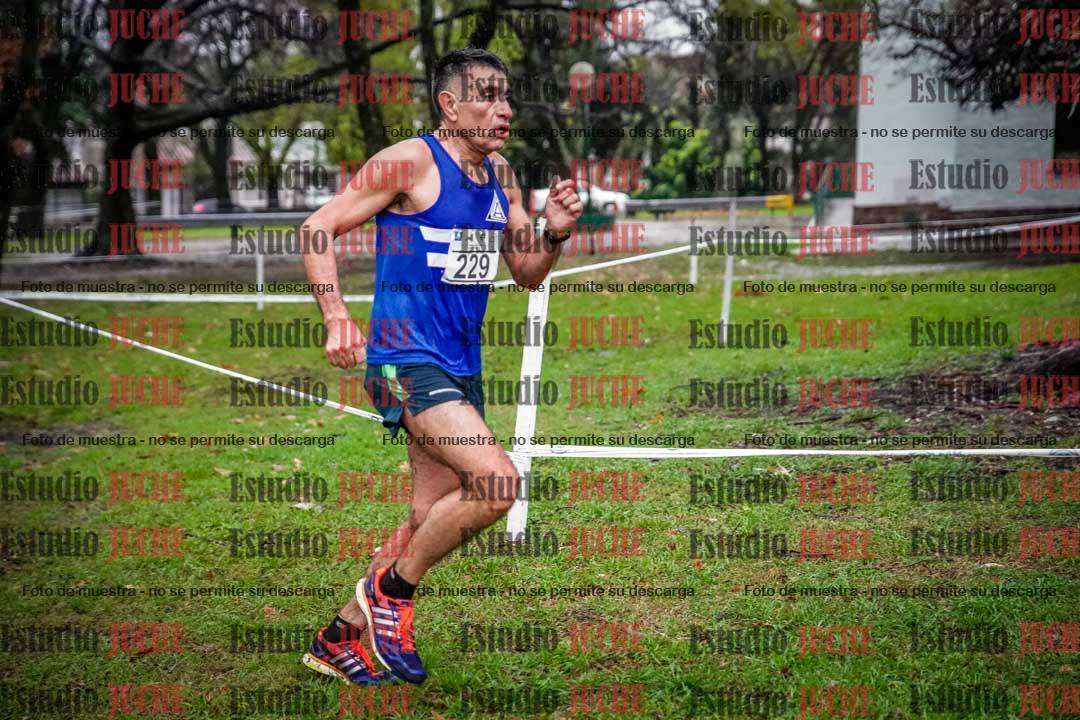 Fotos en el circuito