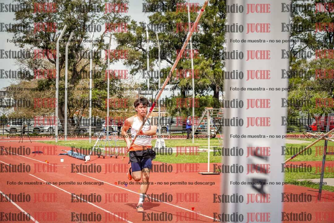 Fotos del salto con garrocha de varones