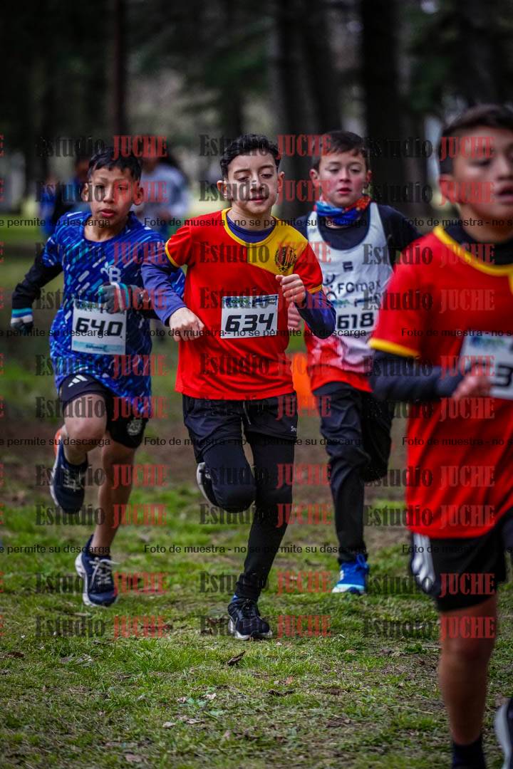 Fotos en el circuito