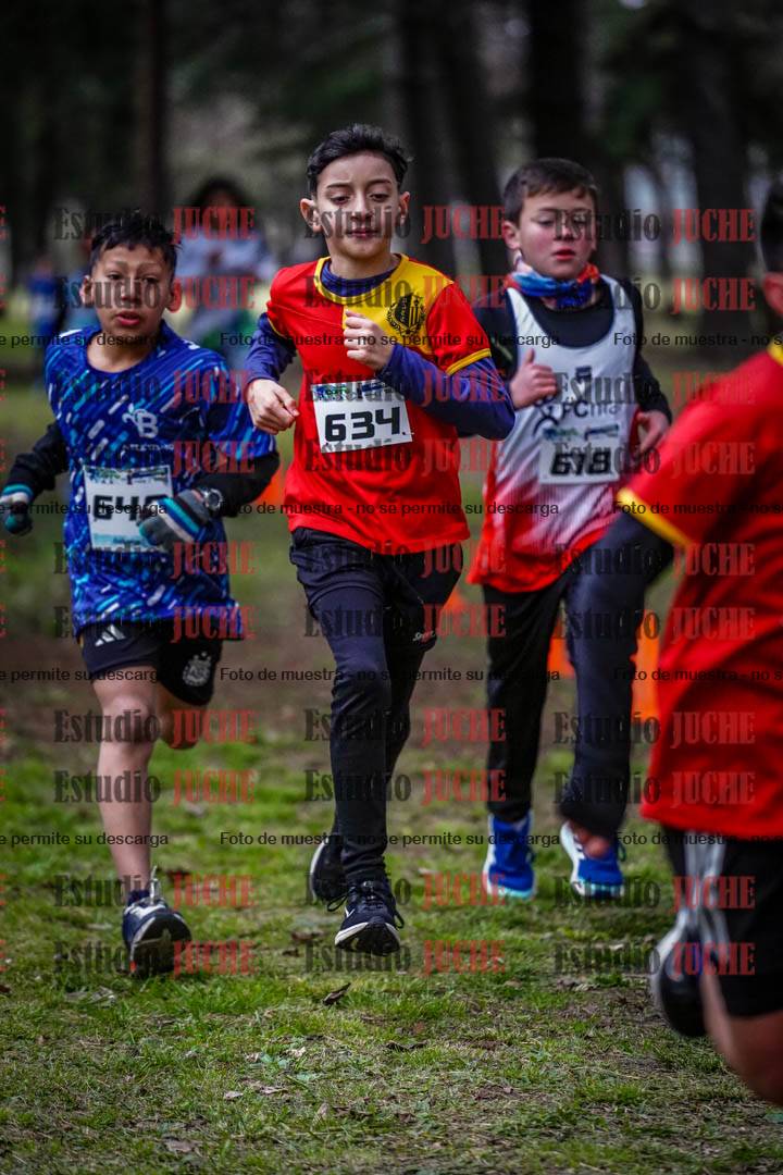 Fotos en el circuito