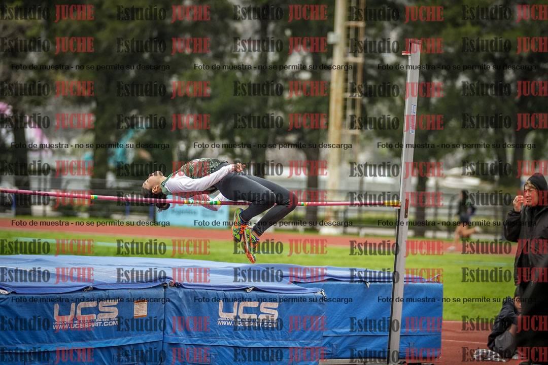 Fotos del salto en alto de mujeres y varones - todos los grupos