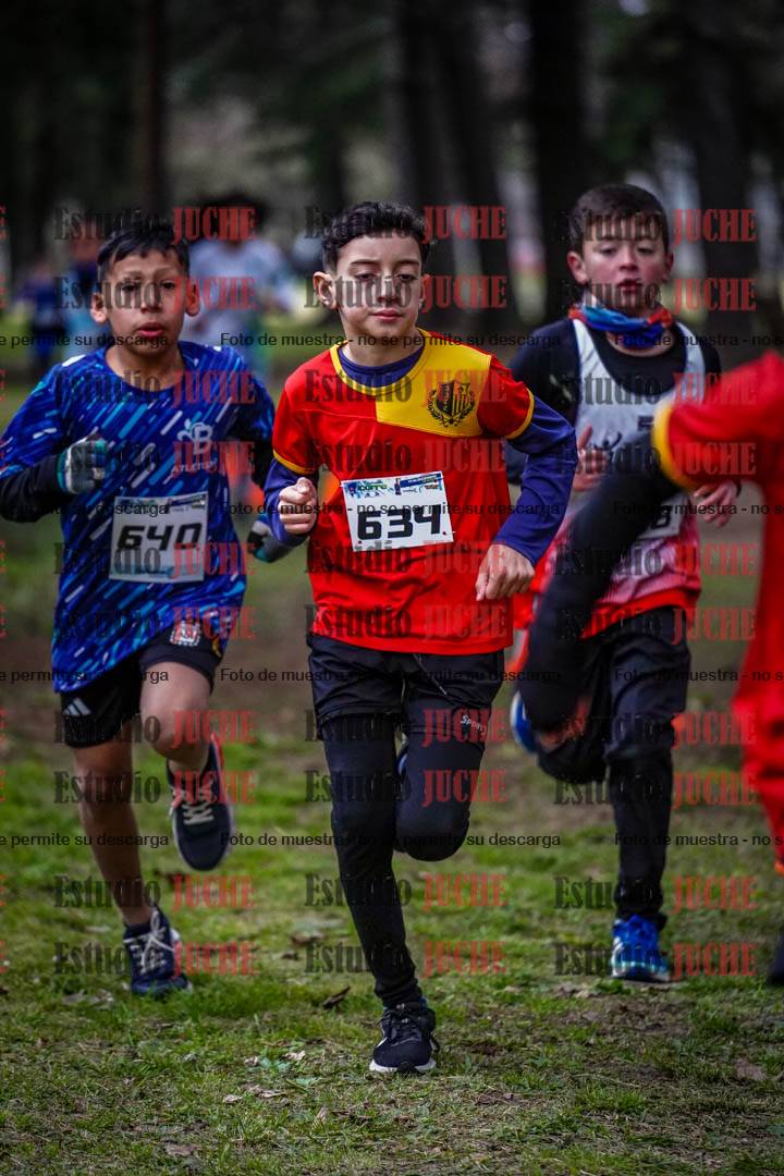 Fotos en el circuito