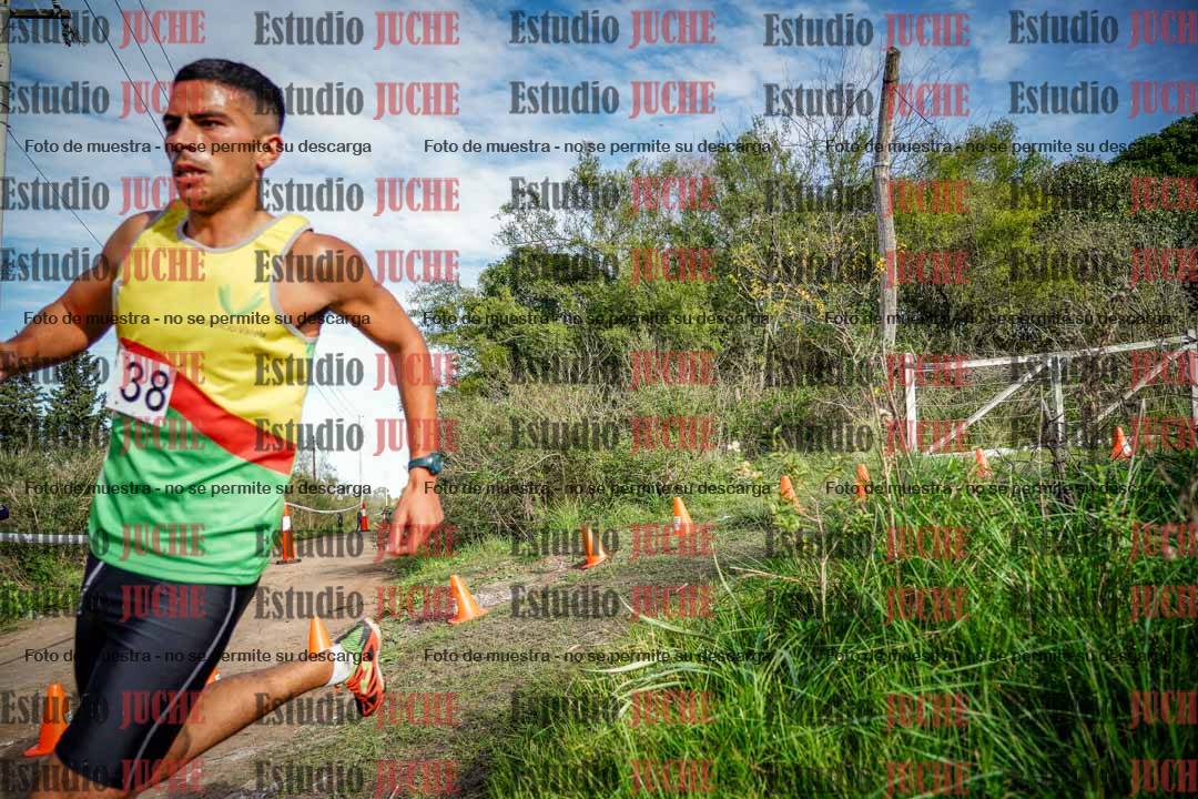Fotos en el circuito