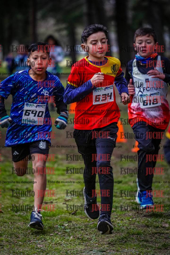 Fotos en el circuito
