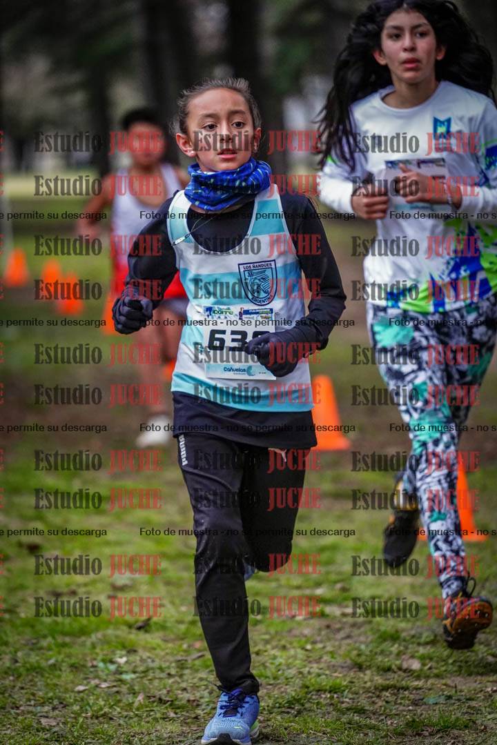 Fotos en el circuito