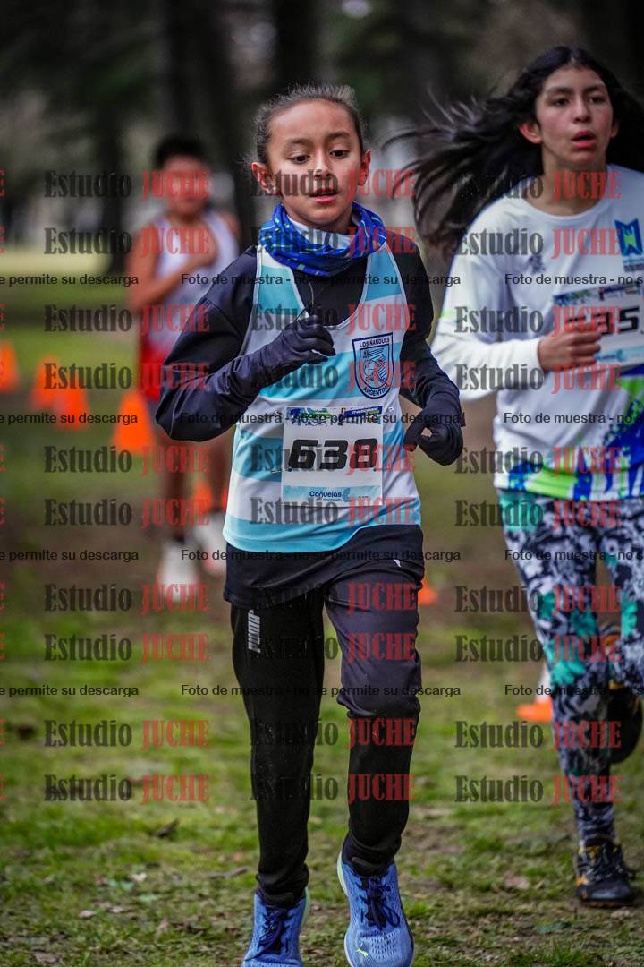 Fotos en el circuito