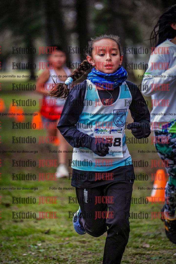 Fotos en el circuito