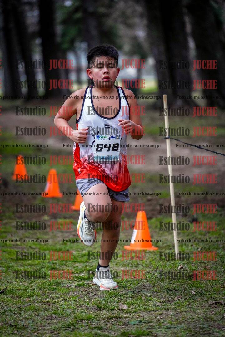 Fotos en el circuito