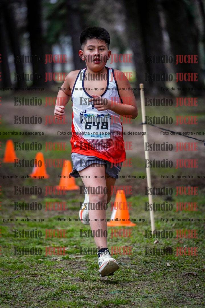 Fotos en el circuito