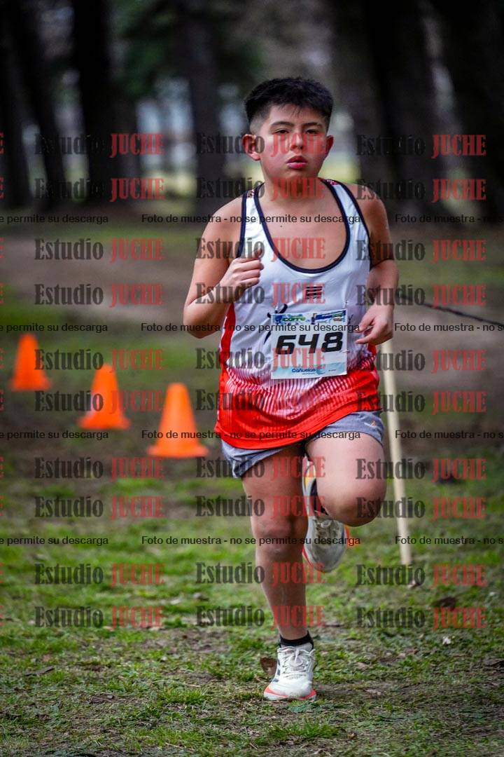 Fotos en el circuito