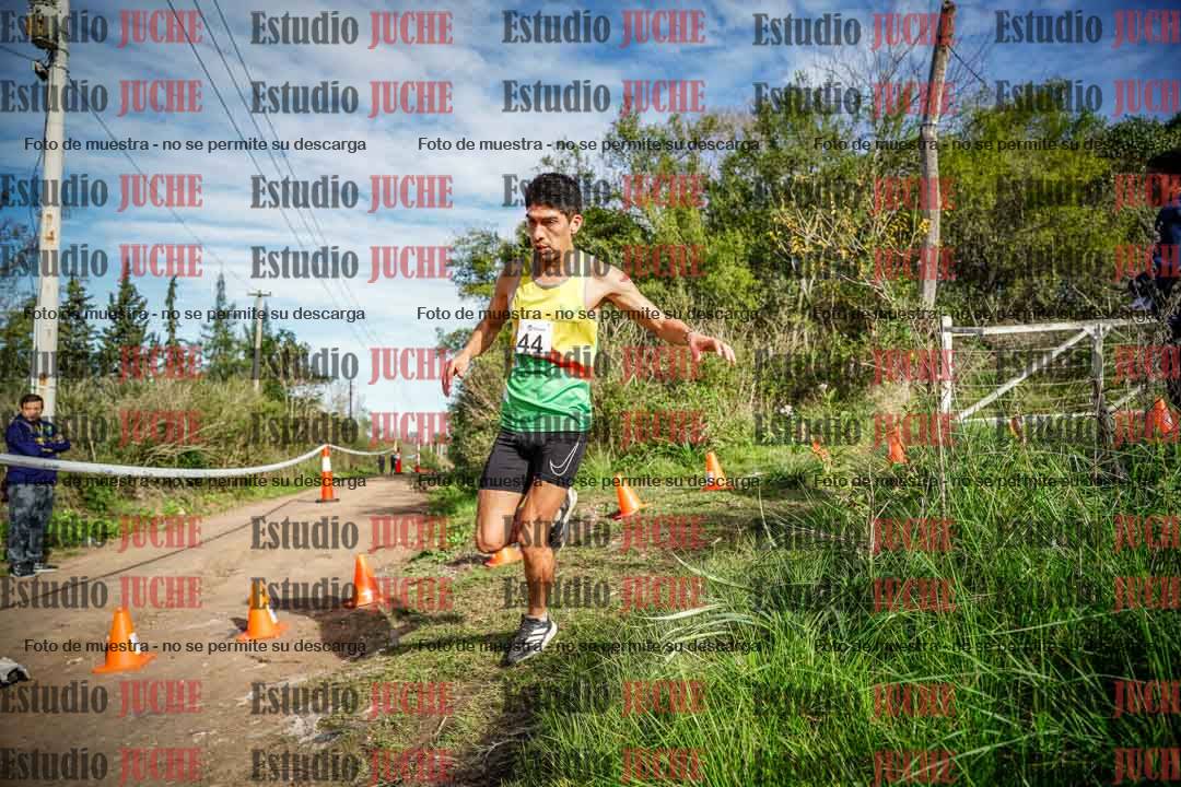 Fotos en el circuito