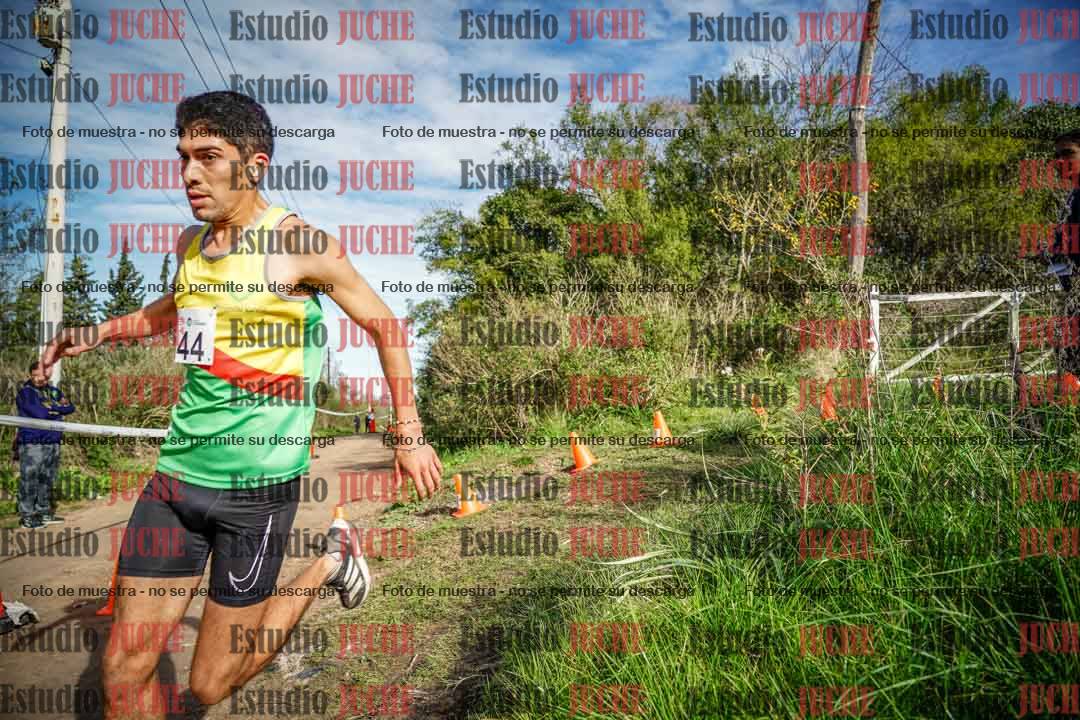 Fotos en el circuito