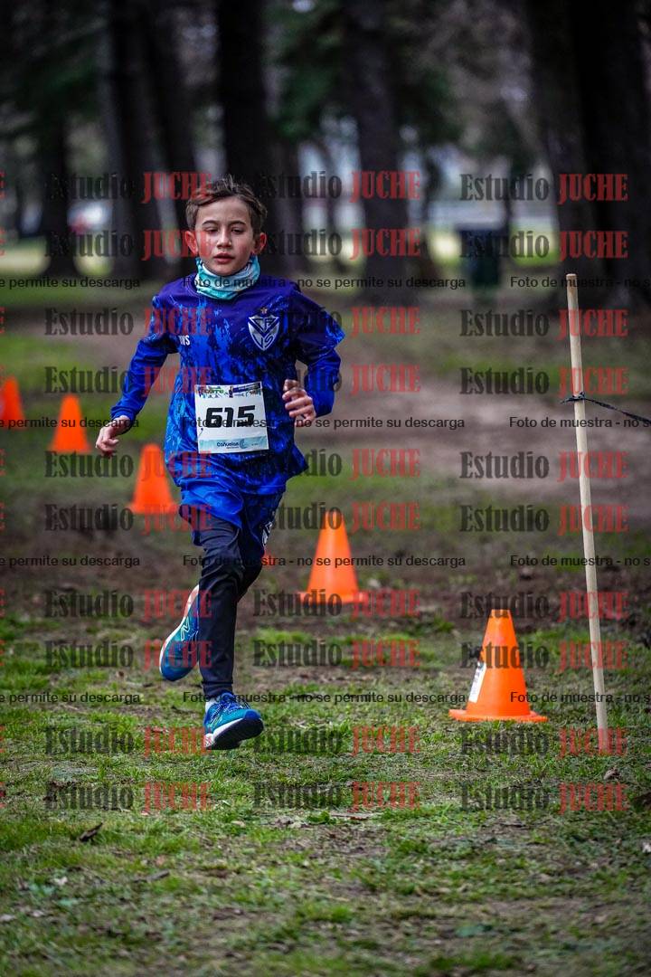 Fotos en el circuito