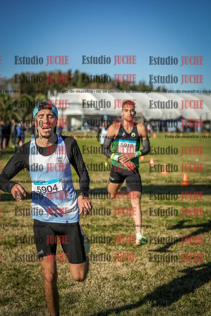 Fotos de las llegadas