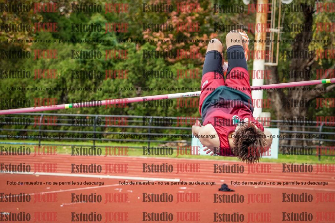Fotos del salto en alto de varones