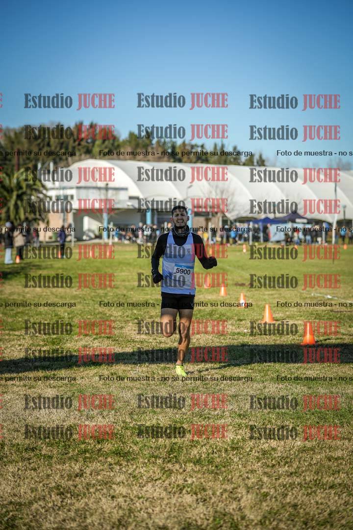 Fotos de las llegadas