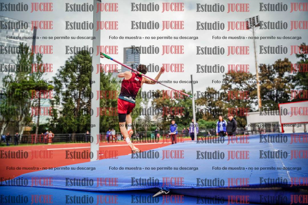 Fotos del salto en alto de varones