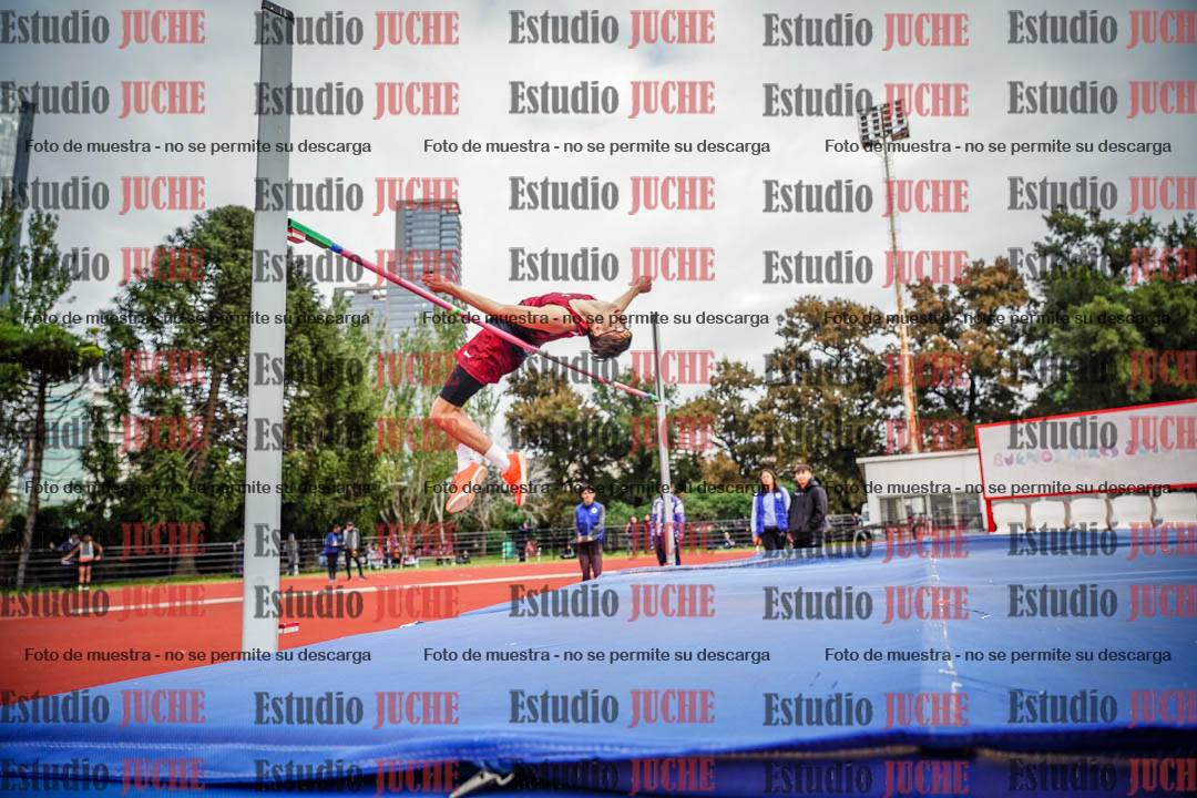 Fotos del salto en alto de varones