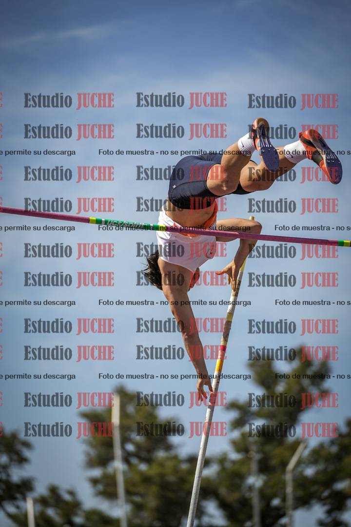 Fotos del salto con garrocha de mujeres y varones