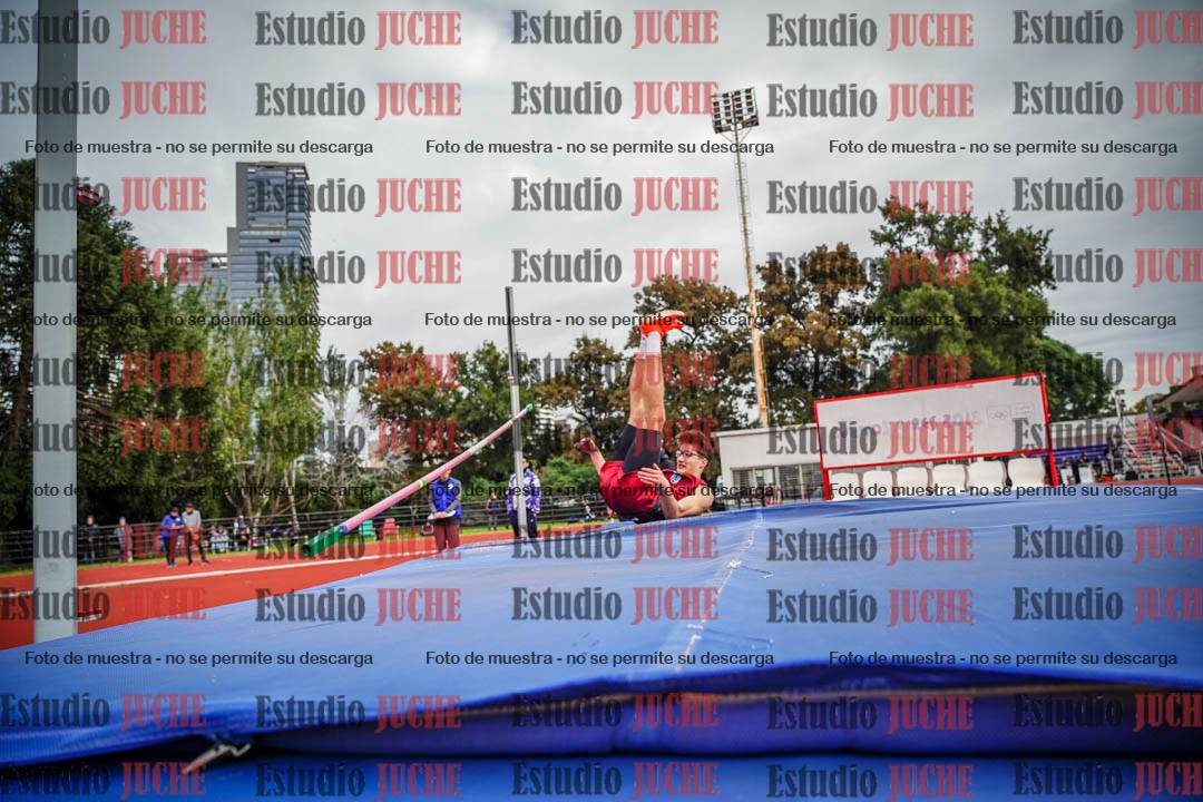 Fotos del salto en alto de varones