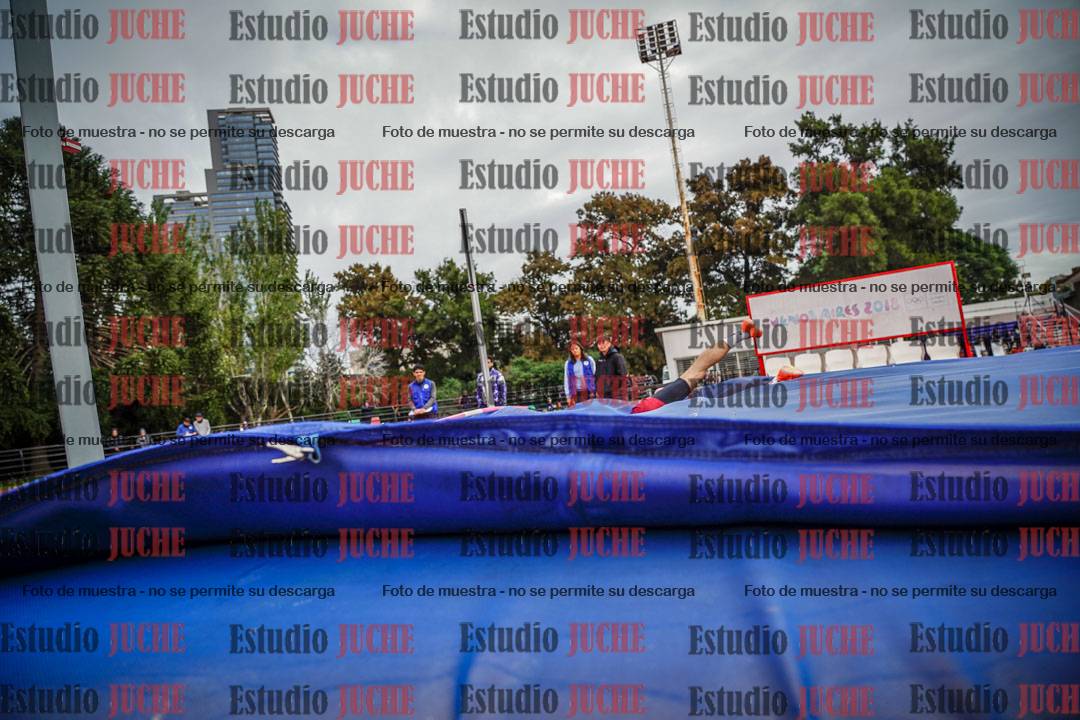 Fotos del salto en alto de varones