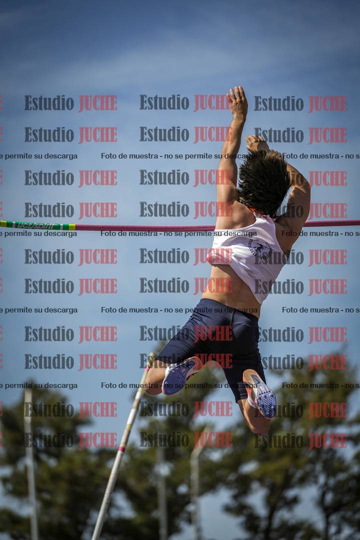 Fotos del salto con garrocha de mujeres y varones