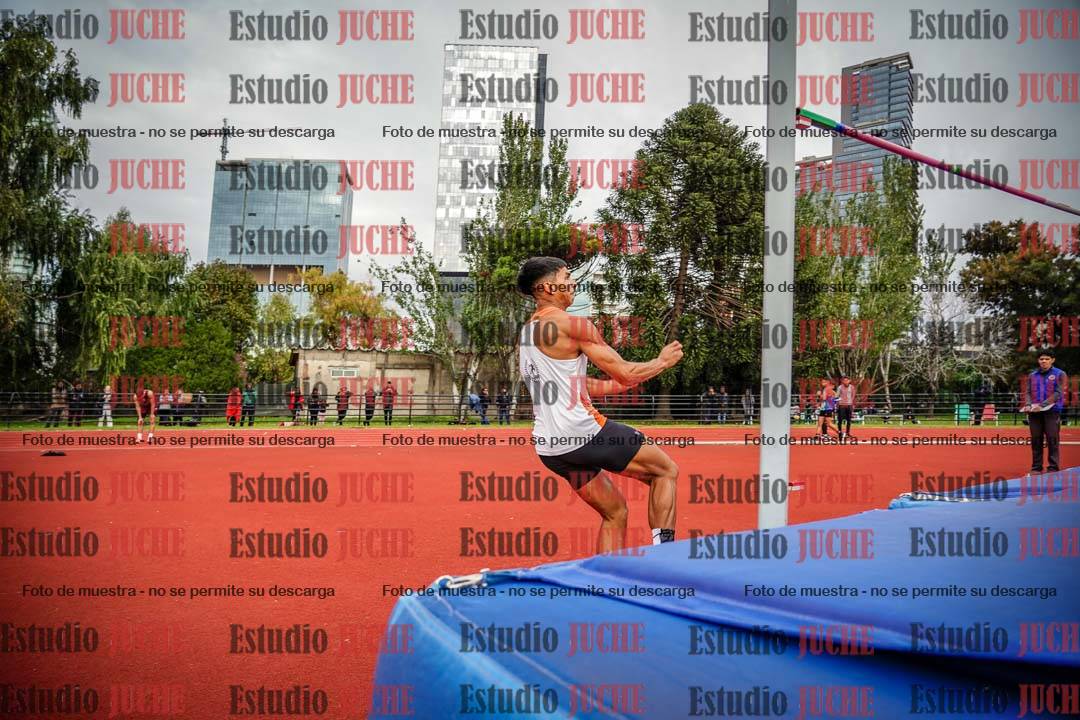 Fotos del salto en alto de varones