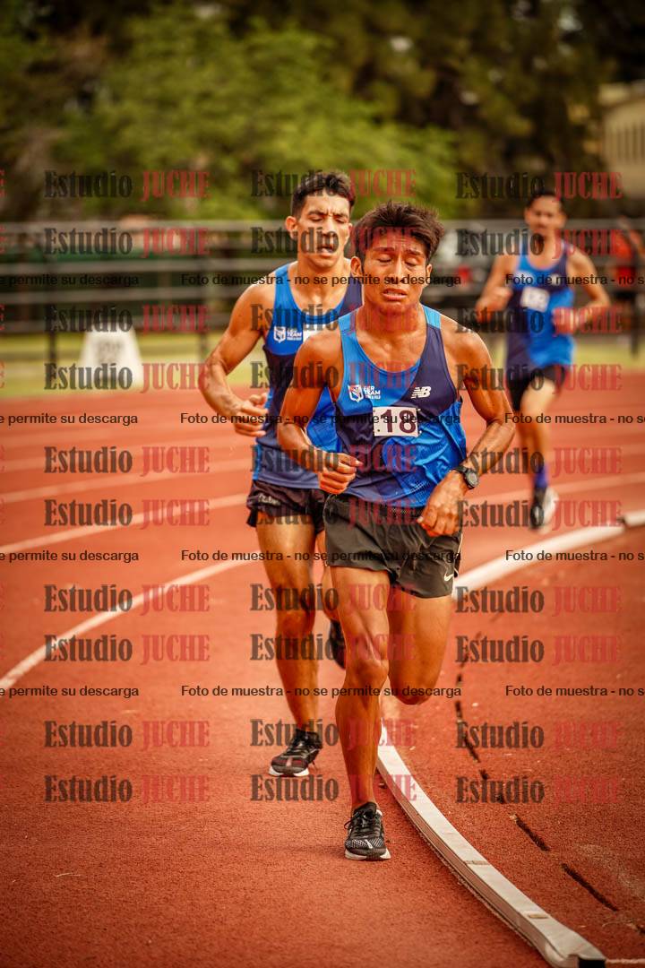 Fotos de los 5000 m de varones