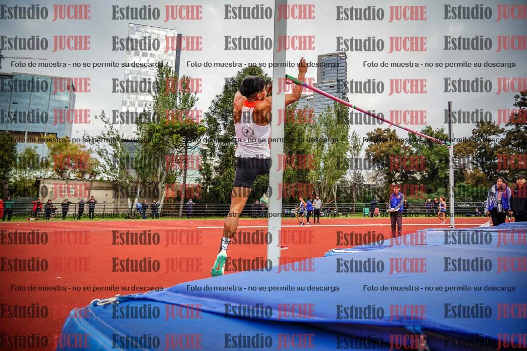 Fotos del salto en alto de varones