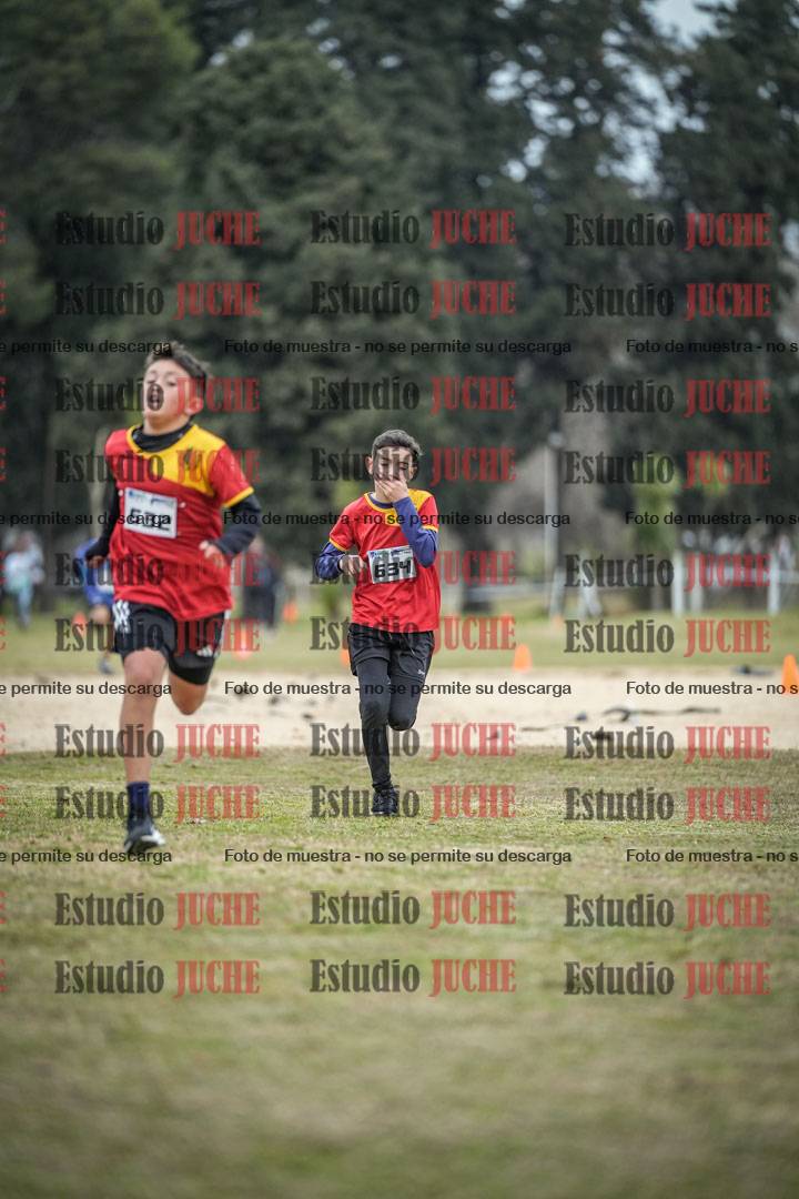 Fotos de la llegada