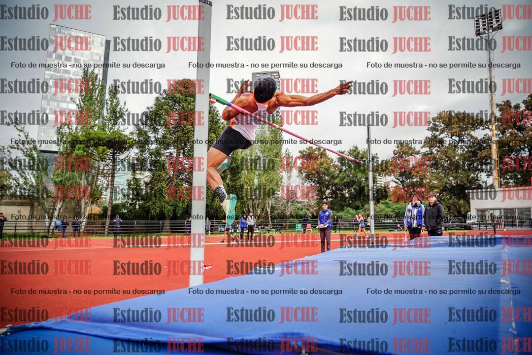 Fotos del salto en alto de varones