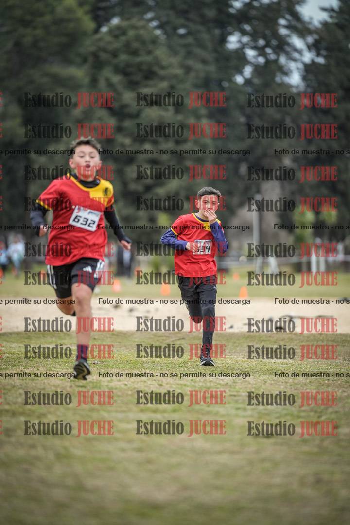 Fotos de la llegada