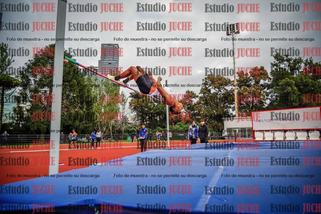 Fotos del salto en alto de varones