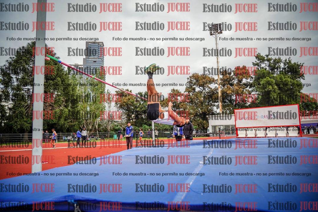 Fotos del salto en alto de varones