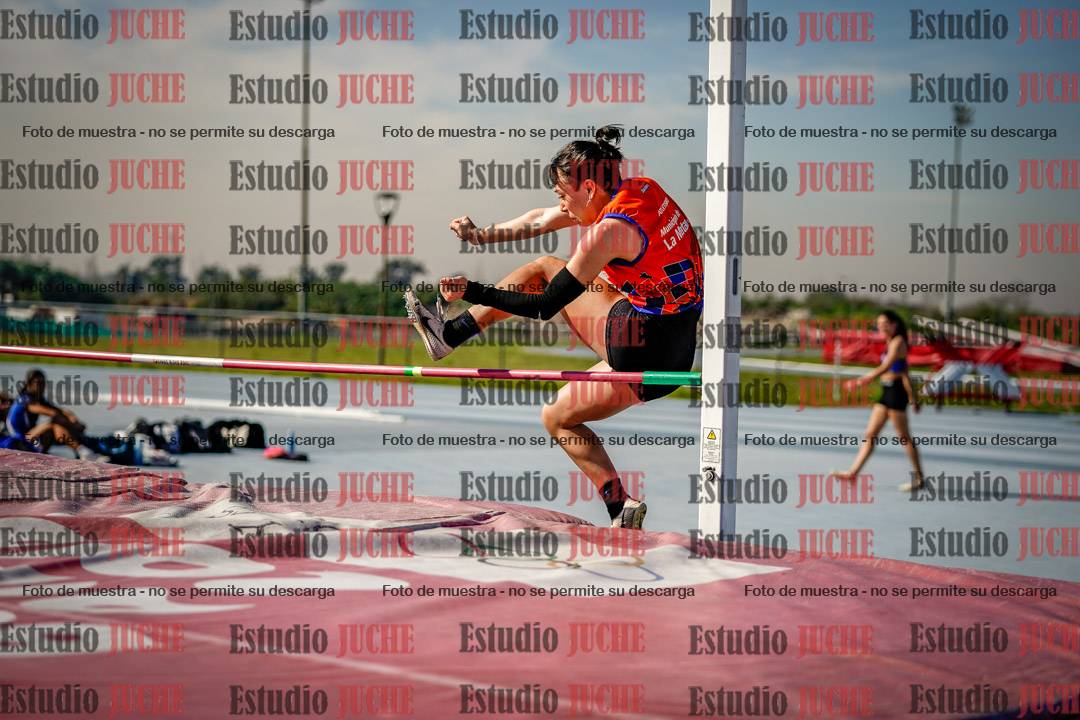 Fotos del salto en alto de mujeres - heptatlón 2