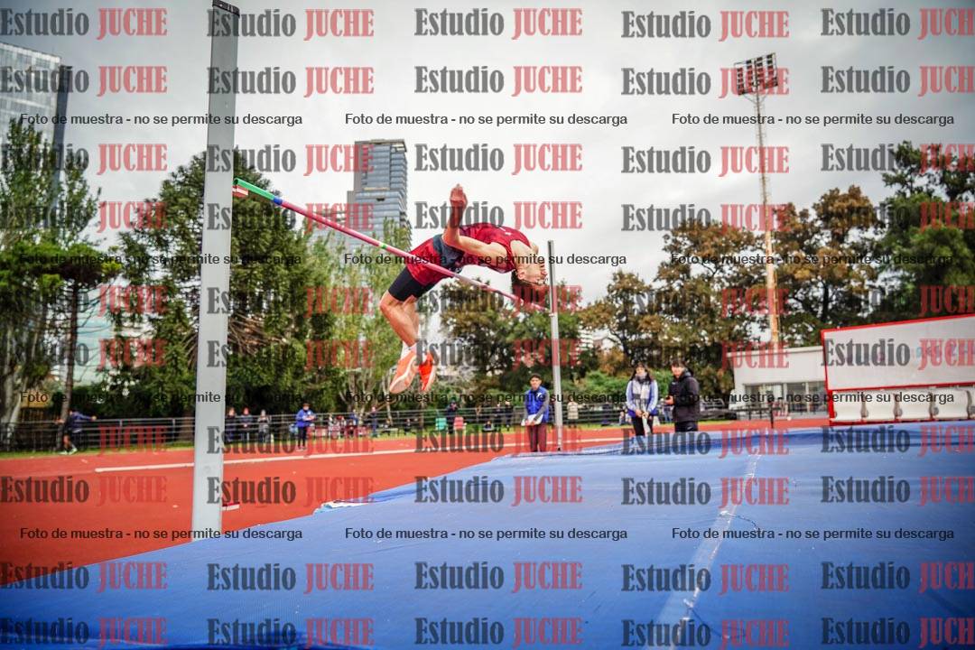 Fotos del salto en alto de varones