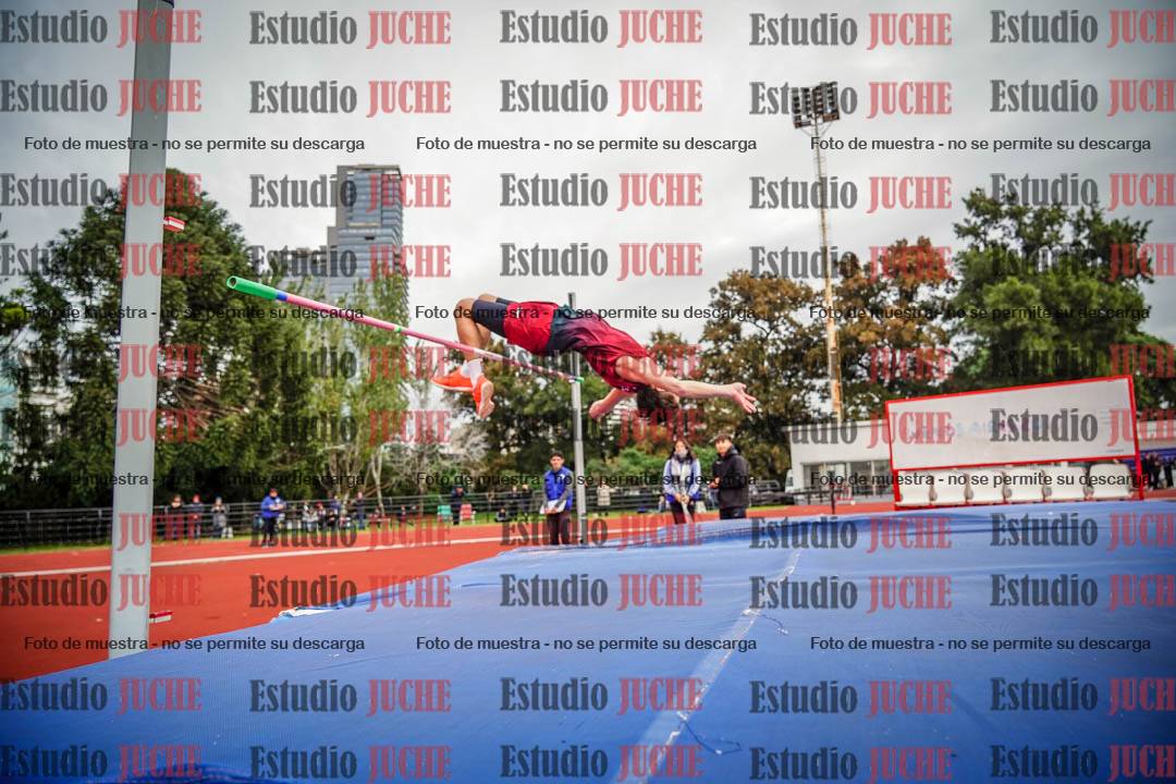 Fotos del salto en alto de varones