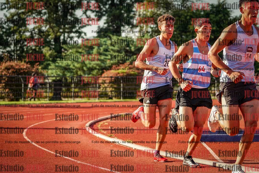 Fotos de los 10.000 m llanos