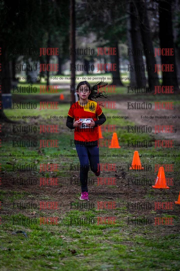 Fotos en el circuito
