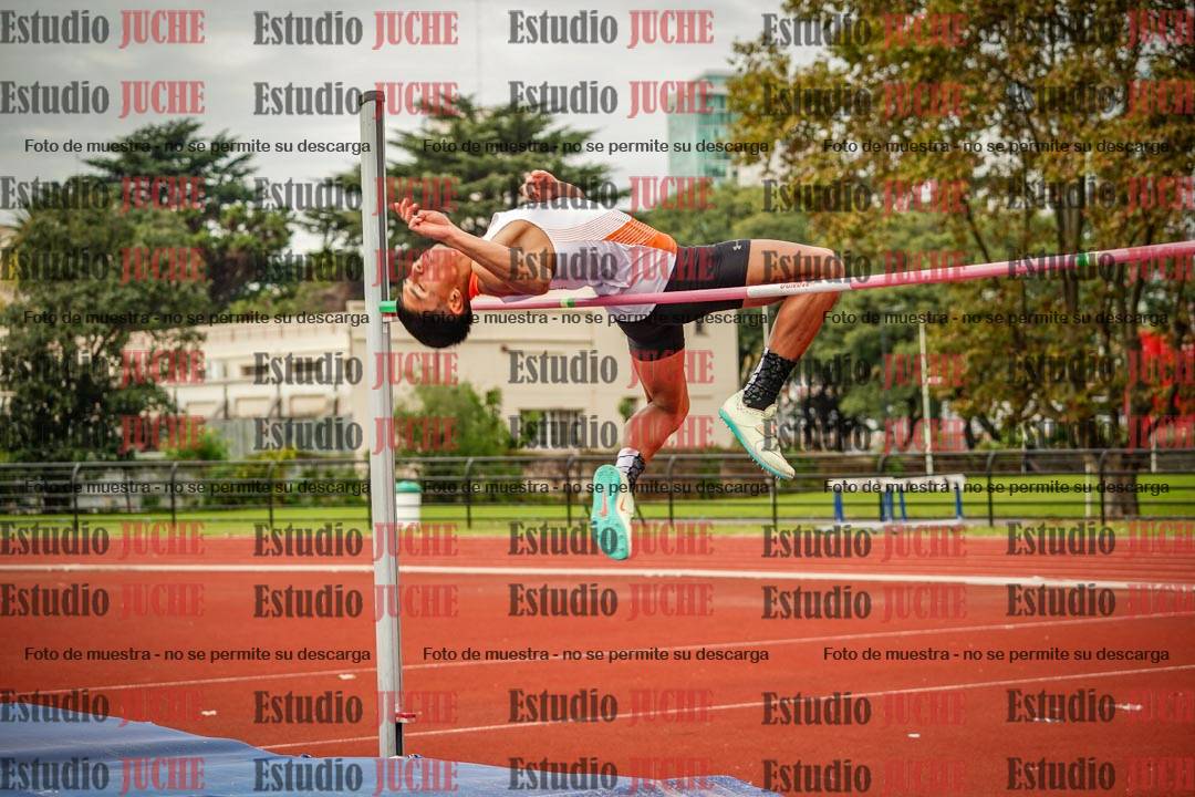 Fotos del salto en alto de varones