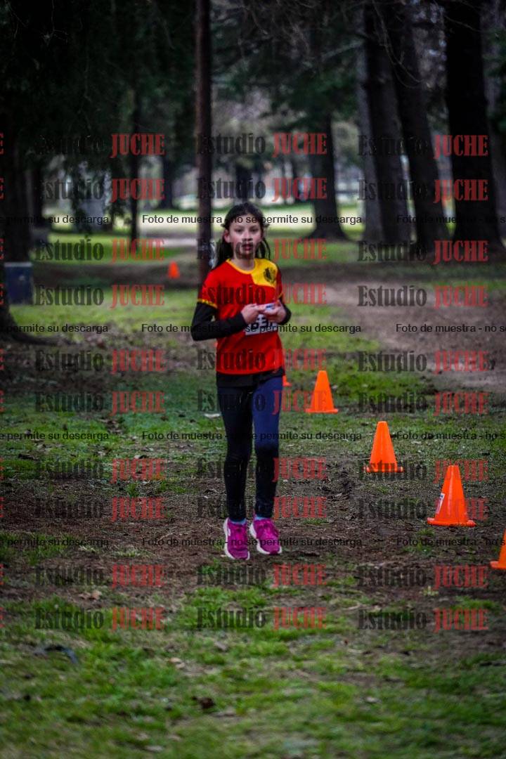 Fotos en el circuito
