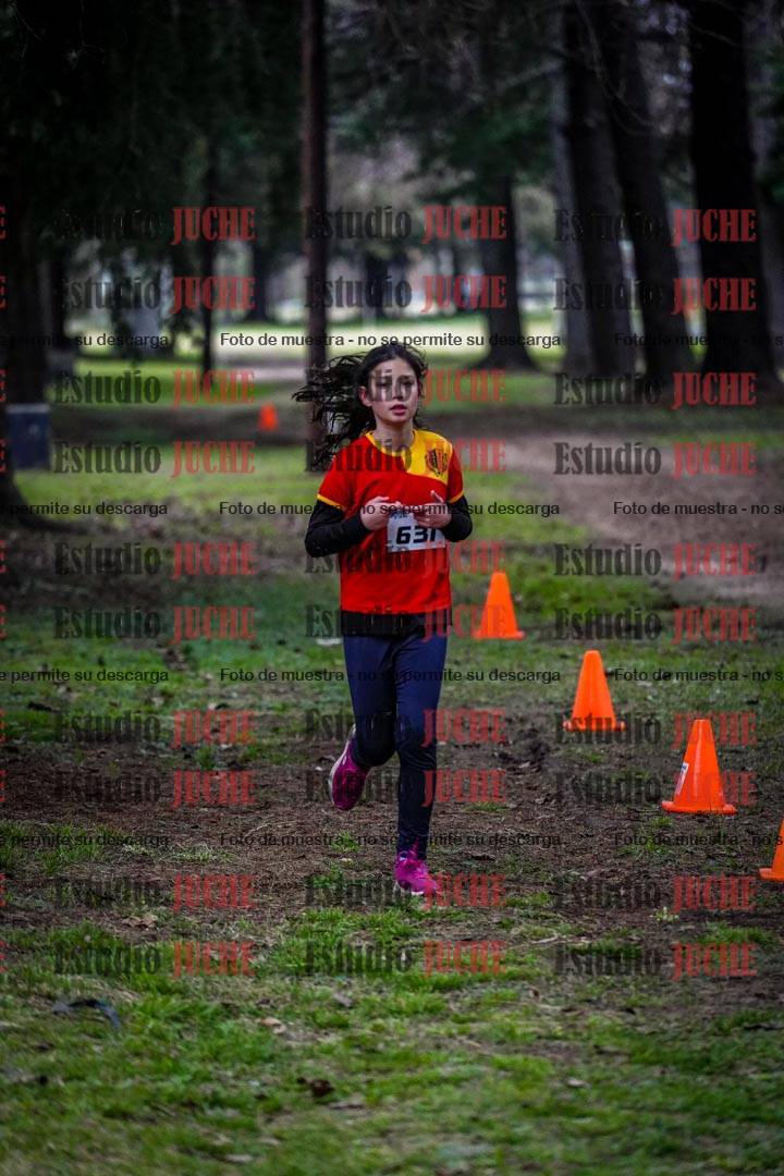 Fotos en el circuito