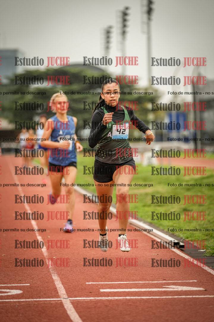 Fotos de los 800 m llanos de mujeres