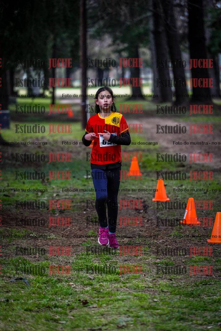 Fotos en el circuito