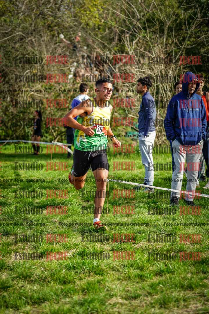 Fotos en el circuito